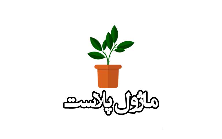 ماژول پلاست